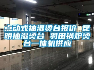 企業新聞點動式抽濕燙臺報價 昆明抽濕燙臺 羽田鍋爐燙臺一體機供應