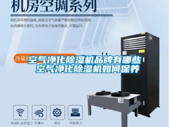 企業新聞空氣凈化除濕機品牌有哪些 空氣凈化除濕機如何保養