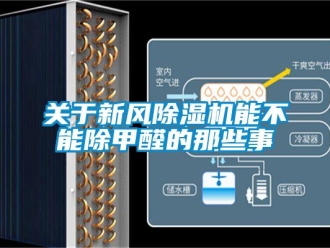 常見問題關于新風除濕機能不能除甲醛的那些事