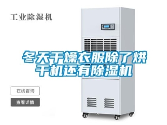 企業(yè)新聞冬天干燥衣服除了烘干機還有除濕機