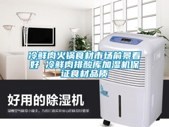 行業新聞冷鮮肉火鍋食材市場前景看好 冷鮮肉排酸庫加濕機保證食材品質