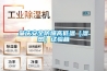 肇慶安全防爆高低溫（濕熱）試驗箱