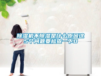 企業新聞除濕機不除濕是什么原因這5個問題要檢查一下0
