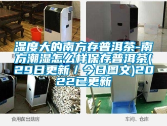 企業新聞濕度大的南方存普洱茶-南方潮濕怎么樣保存普洱茶(29日更新／今日圖文)2022已更新