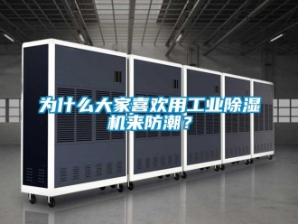 常見問題為什么大家喜歡用工業(yè)除濕機(jī)來(lái)防潮？