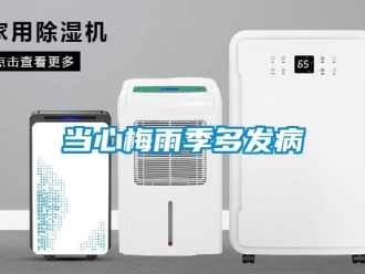 企業新聞當心梅雨季多發病