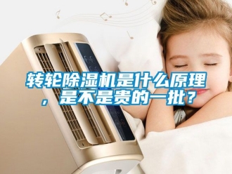 常見問題轉(zhuǎn)輪除濕機(jī)是什么原理，是不是貴的一批？