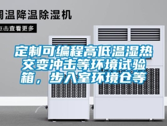 常見問題定制可編程高低溫濕熱交變沖擊等環境試驗箱，步入室環境倉等