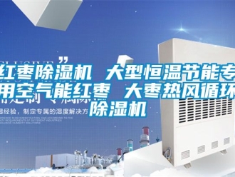 知識百科紅棗除濕機 大型恒溫節能專用空氣能紅棗 大棗熱風循環除濕機