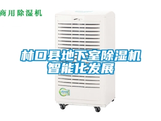 行業新聞林口縣地下室除濕機智能化發展