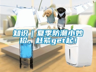 常見問題知識｜夏季防潮小妙招，趕緊get起！