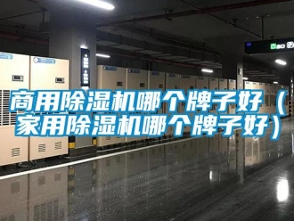 常見問題商用除濕機哪個牌子好（家用除濕機哪個牌子好）