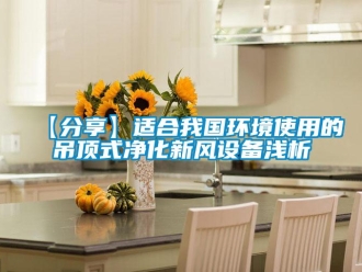 企業(yè)新聞【分享】適合我國(guó)環(huán)境使用的吊頂式凈化新風(fēng)設(shè)備淺析