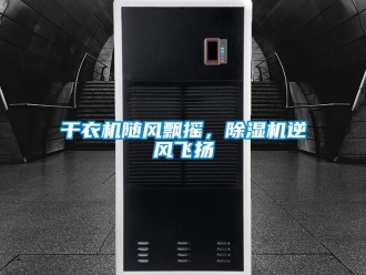 企業(yè)新聞干衣機隨風飄搖，除濕機逆風飛揚