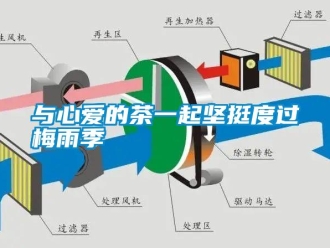 知識百科與心愛的茶一起堅挺度過梅雨季