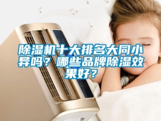 企業新聞除濕機十大排名大同小異嗎？哪些品牌除濕效果好？