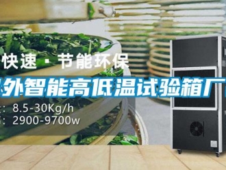 常見問題國外智能高低溫試驗箱廠家