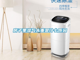 企業新聞房子里濕氣太重是什么原因