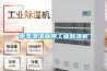 雨季潮濕就用工業除濕機
