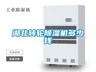 常見問題湖北轉(zhuǎn)輪除濕機多少錢