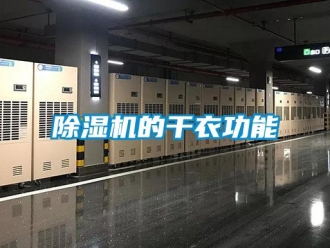 企業(yè)新聞除濕機(jī)的干衣功能