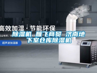 企業新聞除濕機 雁飛商貿 濟南地下室倉庫除濕機