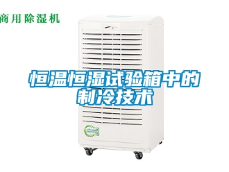 知識(shí)百科恒溫恒濕試驗(yàn)箱中的制冷技術(shù)