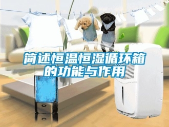 知識百科簡述恒溫恒濕循環箱的功能與作用