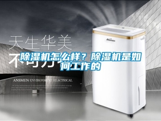 行業(yè)新聞除濕機怎么樣？除濕機是如何工作的