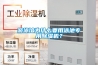 游泳館為什么要用泳池專用除濕機？