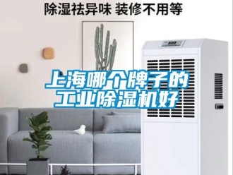常見問題上海哪個牌子的工業除濕機好