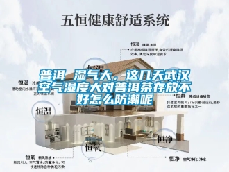 常見問題普洱 濕氣大，這幾天武漢空氣濕度大對普洱茶存放不好怎么防潮呢