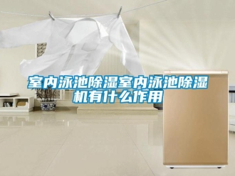 行業(yè)新聞室內(nèi)泳池除濕室內(nèi)泳池除濕機有什么作用