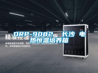 常見問題DRP-9082  長沙 電熱恒溫培養箱