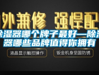 行業新聞除濕器哪個牌子最好—除濕器哪些品牌值得你擁有