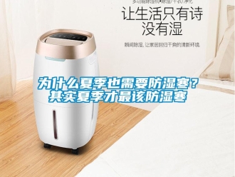 知識百科為什么夏季也需要防濕寒？其實夏季才最該防濕寒