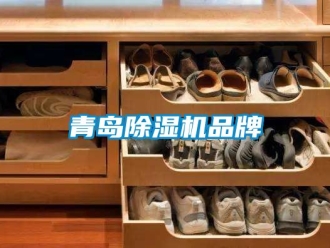 企業新聞青島除濕機品牌