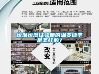 知識(shí)百科恒溫恒濕試驗(yàn)箱的溫變速率是怎樣的？