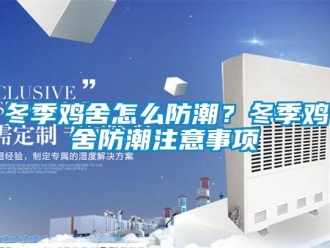 常見問題冬季雞舍怎么防潮？冬季雞舍防潮注意事項