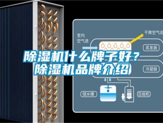 企業新聞除濕機什么牌子好？除濕機品牌介紹