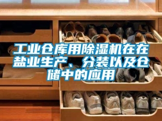 企業(yè)新聞工業(yè)倉庫用除濕機(jī)在在鹽業(yè)生產(chǎn)、分裝以及倉儲中的應(yīng)用