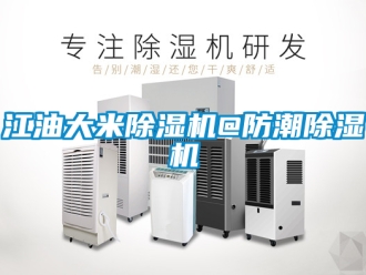 行業新聞江油大米除濕機@防潮除濕機