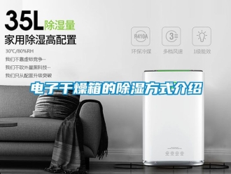 企業(yè)新聞電子干燥箱的除濕方式介紹