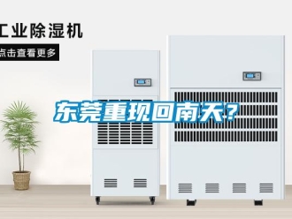 企業新聞東莞重現回南天？