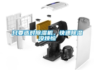 知識百科只要選對除濕機，快速除濕沒煩惱