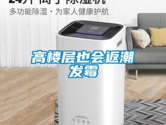 企業新聞高樓層也會返潮發霉