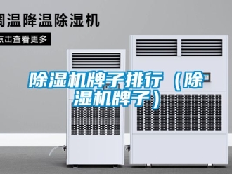 行業新聞除濕機牌子排行（除濕機牌子）