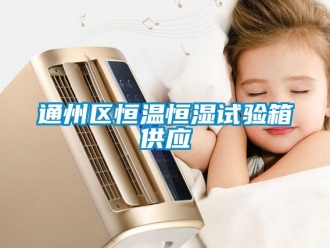 知識百科通州區恒溫恒濕試驗箱供應