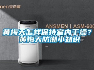 常見問題黃梅天怎樣保持室內干燥？ 黃梅天防潮小知識