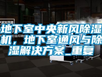 常見問題地下室中央新風除濕機，地下室通風與除濕解決方案_重復